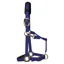 KM Elite Luxury Padded Halter - Royal Blue