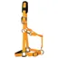 KM Elite Luxury Padded Halter - Orange