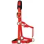 KM Elite Luxury Padded Halter - Red