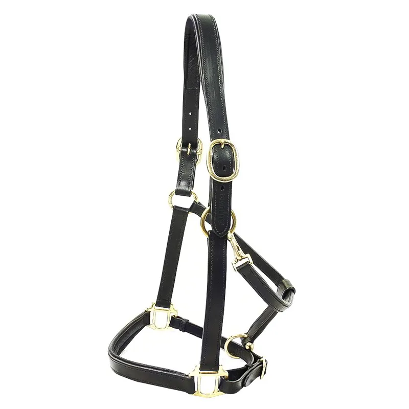 KM Elite Primera Padded Leather Halter - Black-1