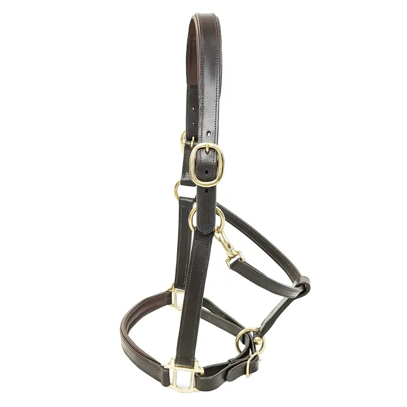 KM Elite Primera Padded Leather Halter - Havana-1
