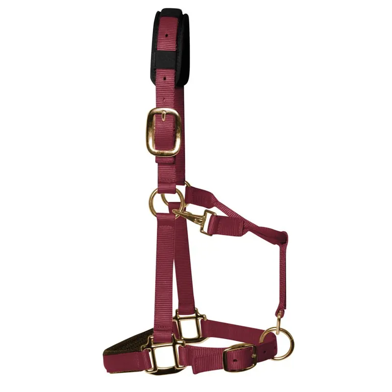 KM Elite Luxury Padded Halter - Burgundy-1