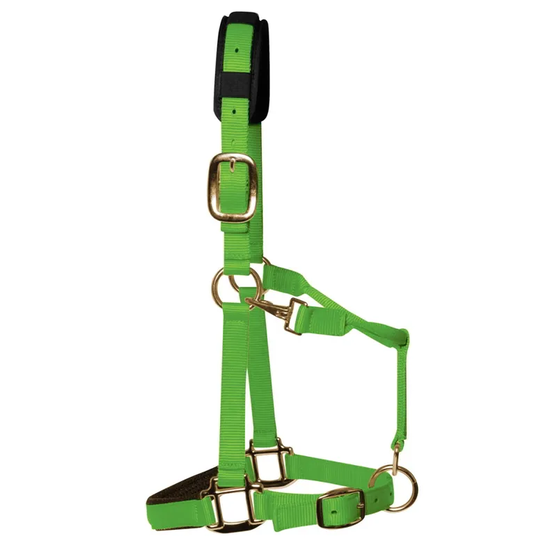 KM Elite Luxury Padded Halter - Hot Green