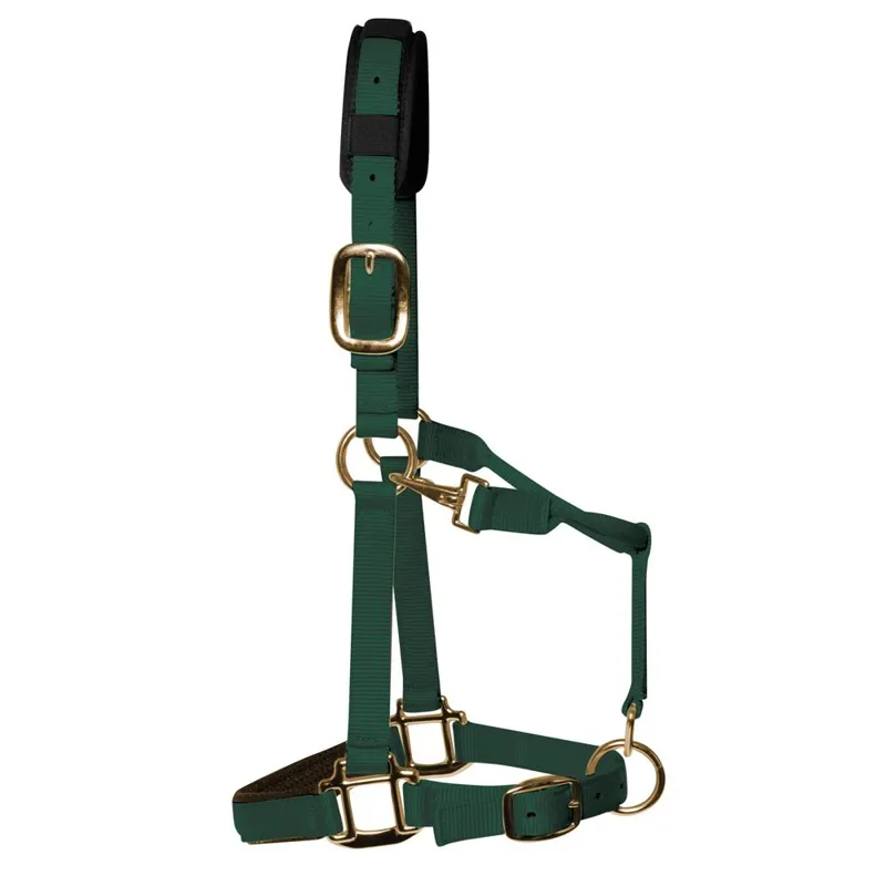 KM Elite Luxury Padded Halter - Hunter Green