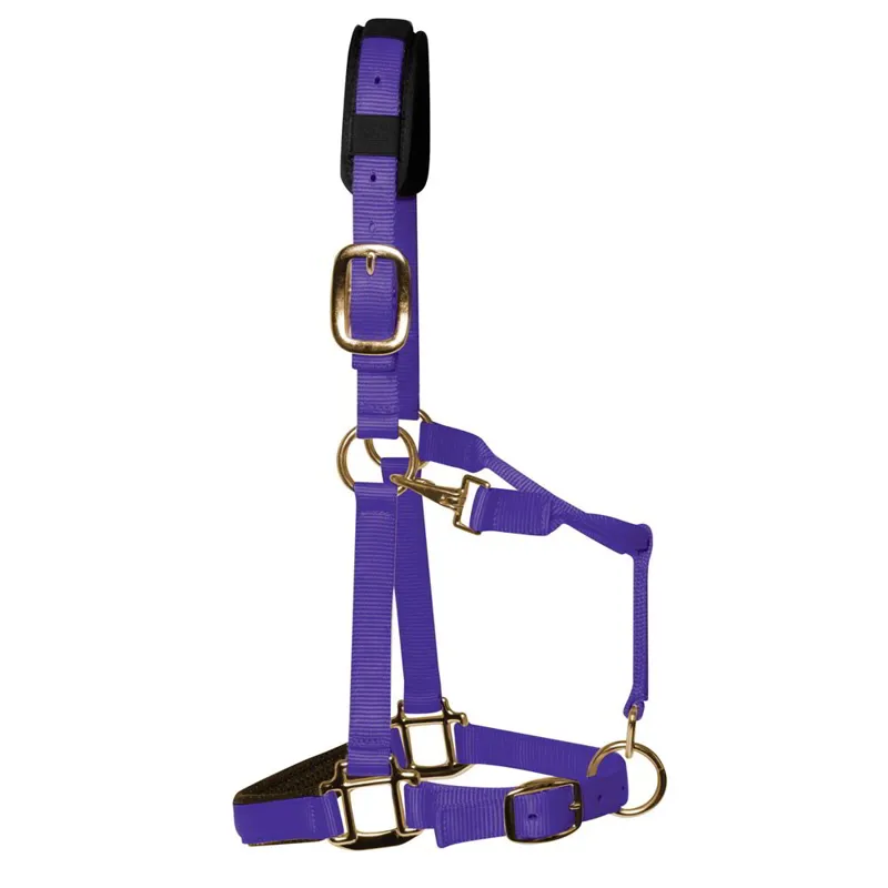 KM Elite Luxury Padded Halter - Purple