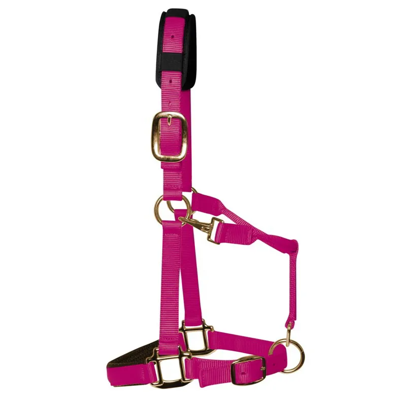 KM Elite Luxury Padded Halter - Raspberry