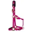 KM Elite Luxury Padded Halter - Raspberry