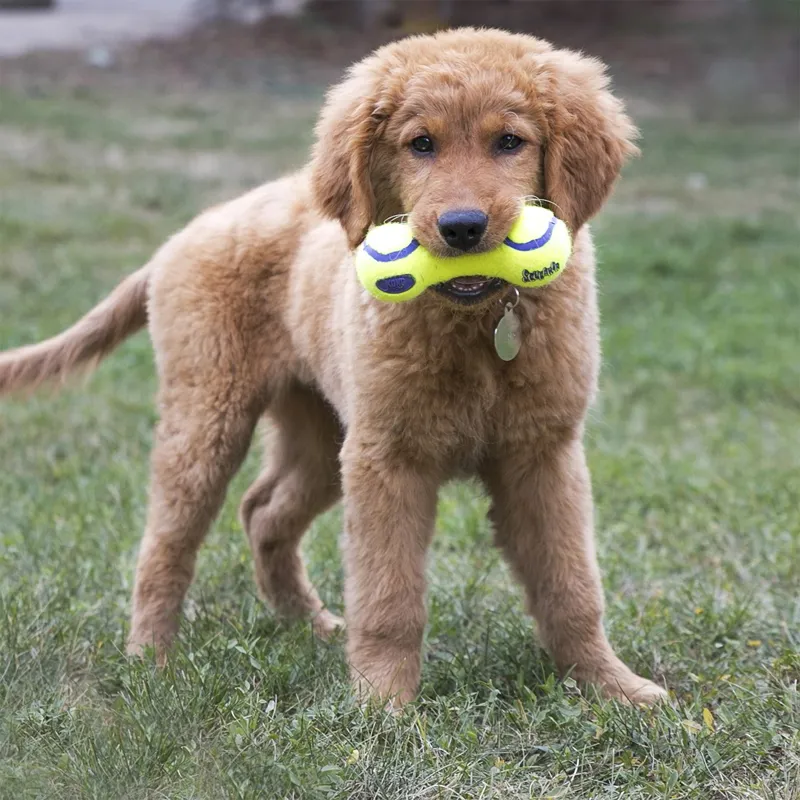 KONG AirDog Dumbbell-1