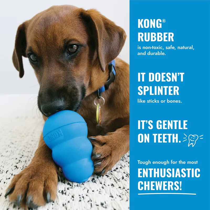 KONG Puppy-3