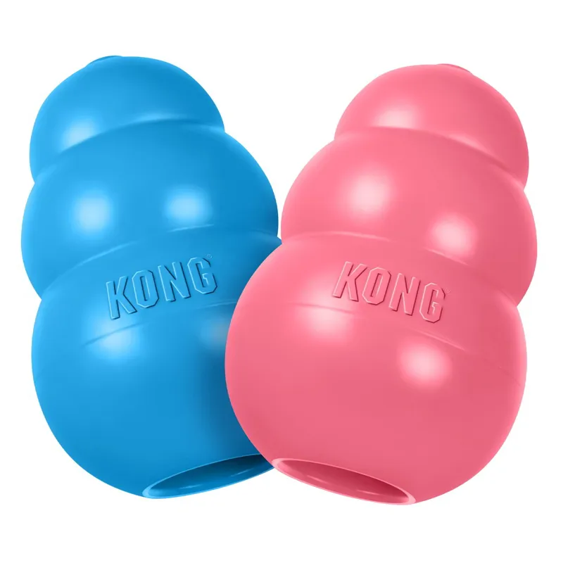 KONG Puppy