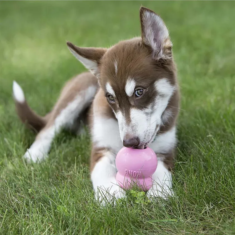 KONG Puppy Easy Treat-1
