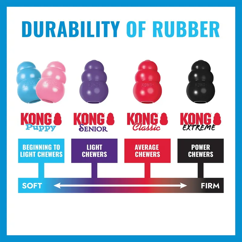 KONG Puppy Flyer-4