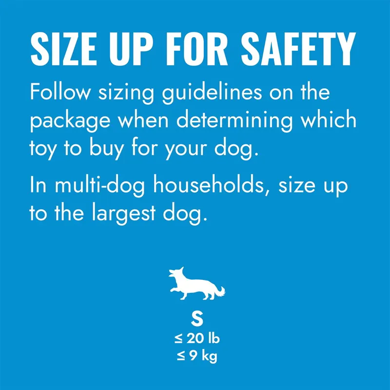 KONG Puppy Flyer-3