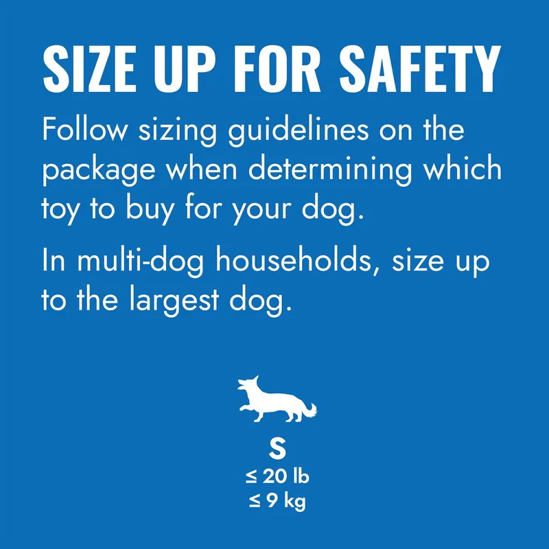 KONG Puppy Goodie Bone-1