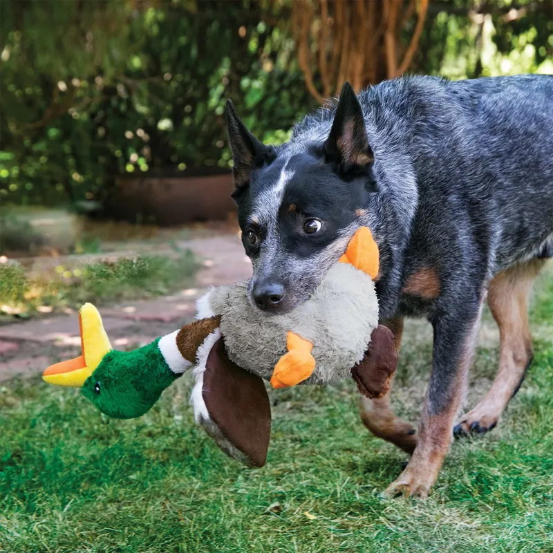 KONG Shakers Honkers - Duck-1