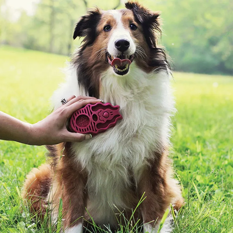 KONG ZoomGroom - Raspberry-1