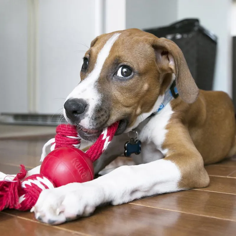 KONG Ball with Rope - Red-1