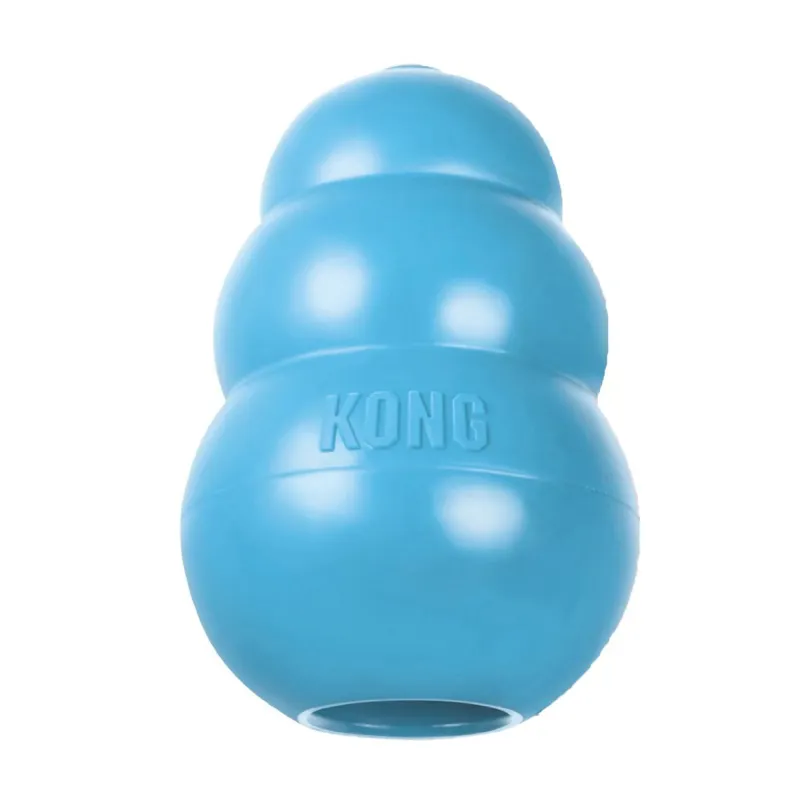 KONG Puppy-1