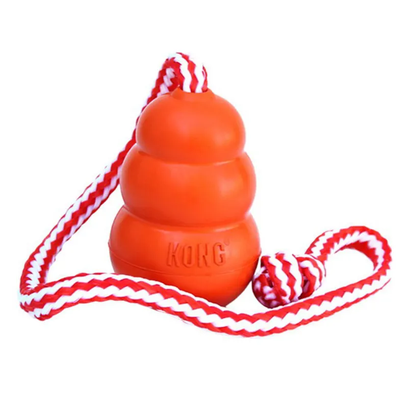 KONG Aqua - Orange-1