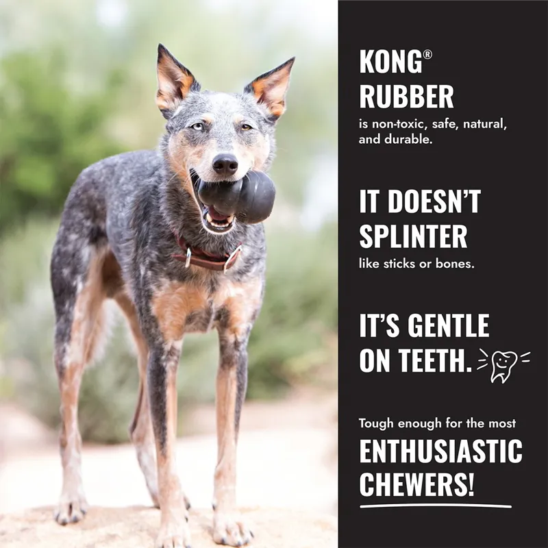 KONG Extreme Ball with Rope-4