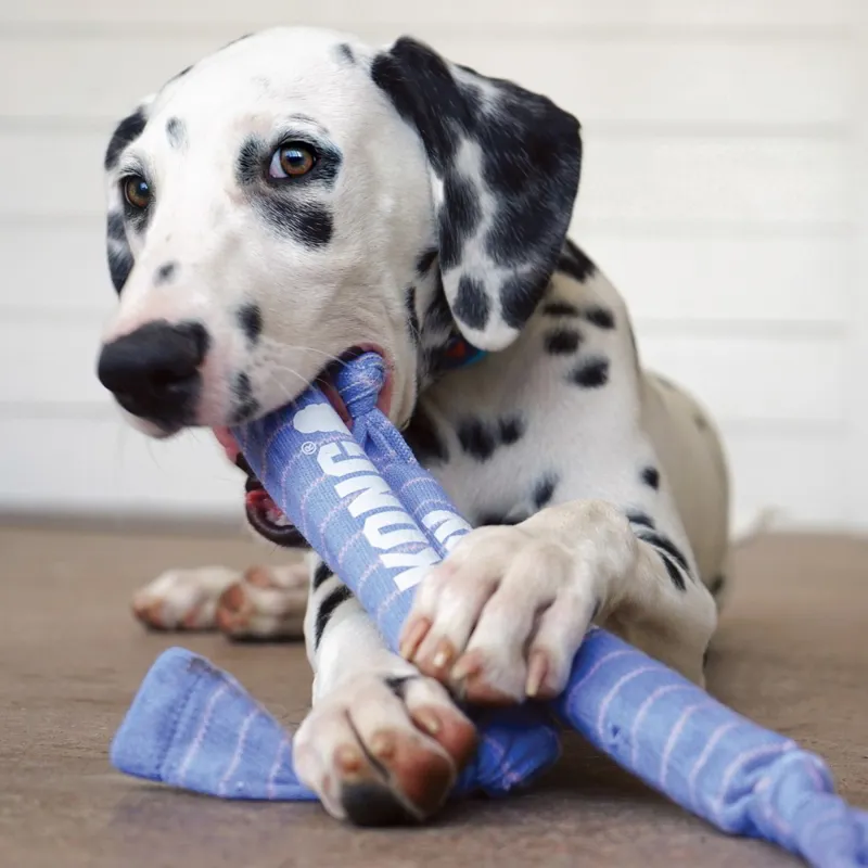 KONG Puppy Signature Crunch Rope-3