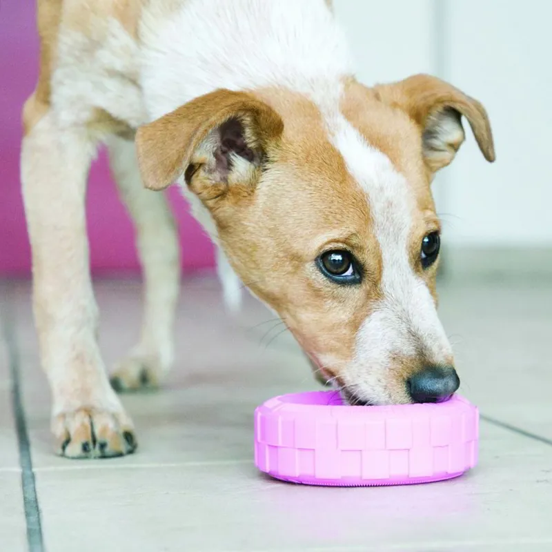 KONG Puppy Traxx Tires-1