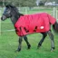 Rhinegold Konig Foal/Small Pony 200g Turnout Blanket - Red