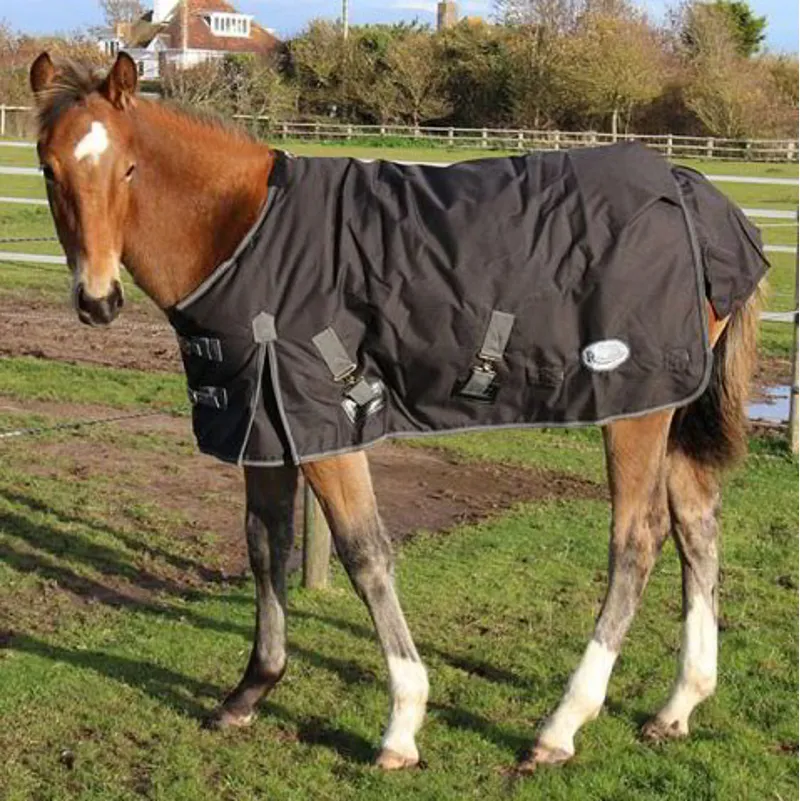Rhinegold Konig Foal/Small Pony 200g Turnout Blanket - Black