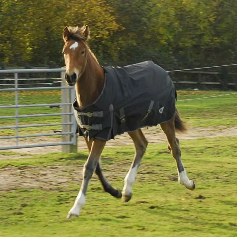 Rhinegold Konig Foal/Small Pony 200g Turnout Blanket - Black-1