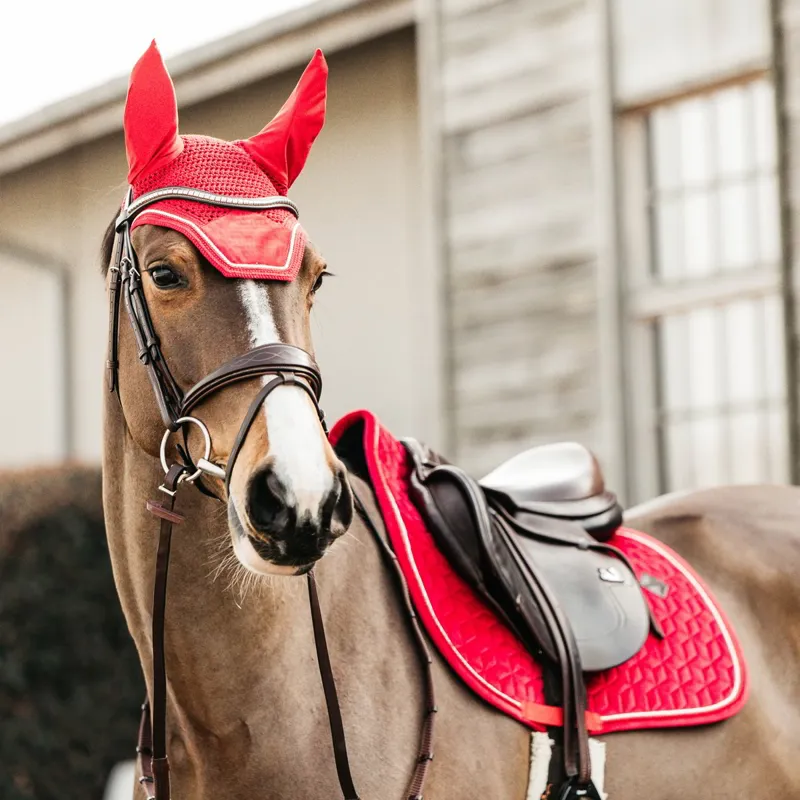 Kentucky Velvet Jumping Saddle Pad - Red-3