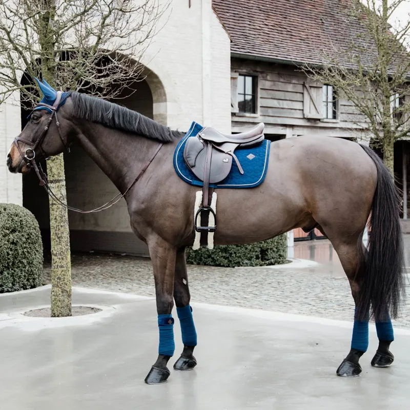 Kentucky Velvet Jumping Saddle Pad - Navy-2