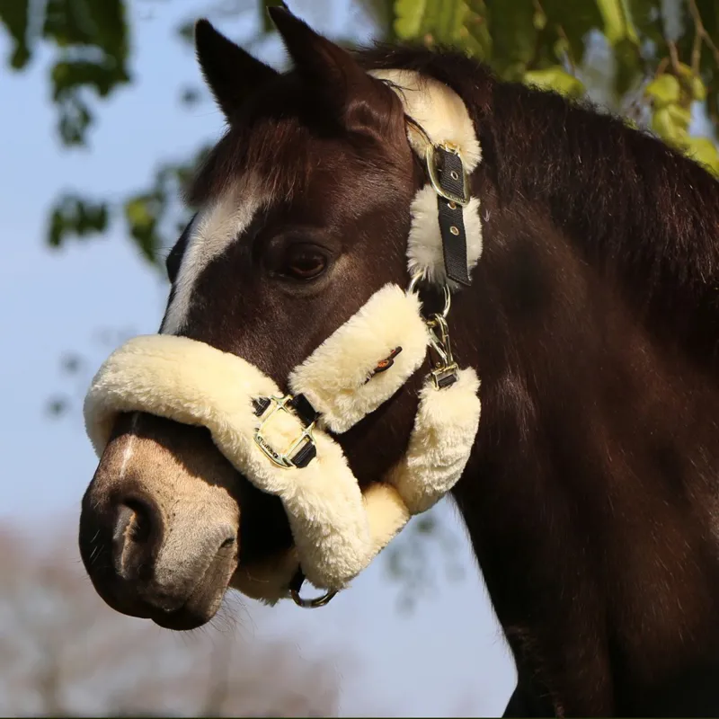 Kentucky Shipping Synthetic Sheepskin Halter - Natural-2