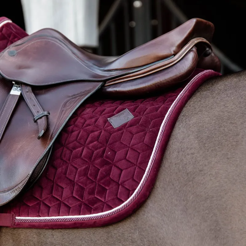 Kentucky Velvet Jumping Saddle Pad - Bordeaux-2