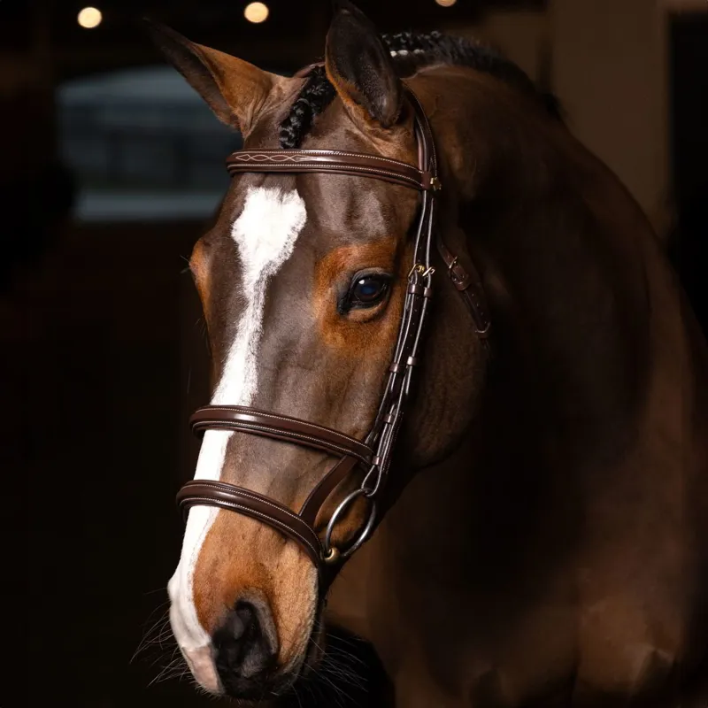 LeMieux Kudos Figure 8 Bridle - Havana/Brass-1