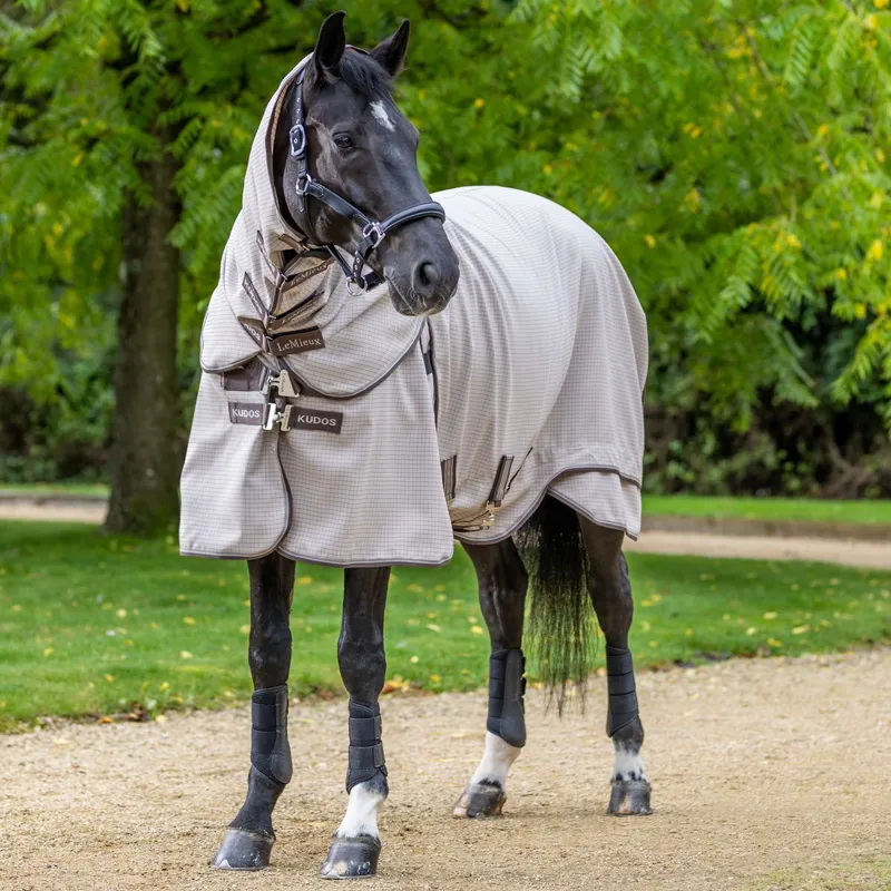 LeMieux Kudos Field Detachable Neck Blanket - Stone-1