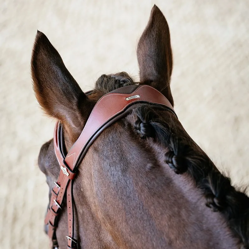 LeMieux Kudos Grackle Bridle - Chestnut-4