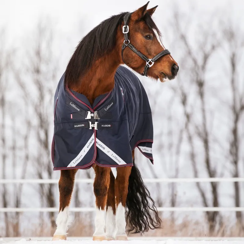 LeMieux Kudos 200g Detachable Neck Turnout Blanket - Navy-2