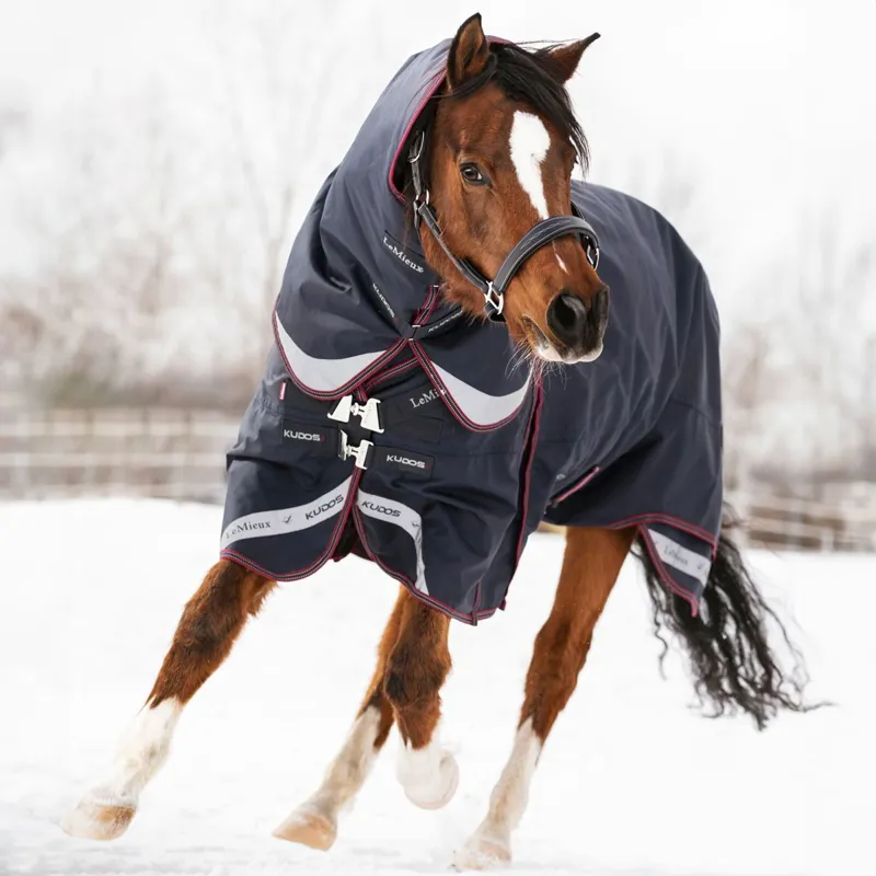 LeMieux Kudos 200g Detachable Neck Turnout Blanket - Navy-1