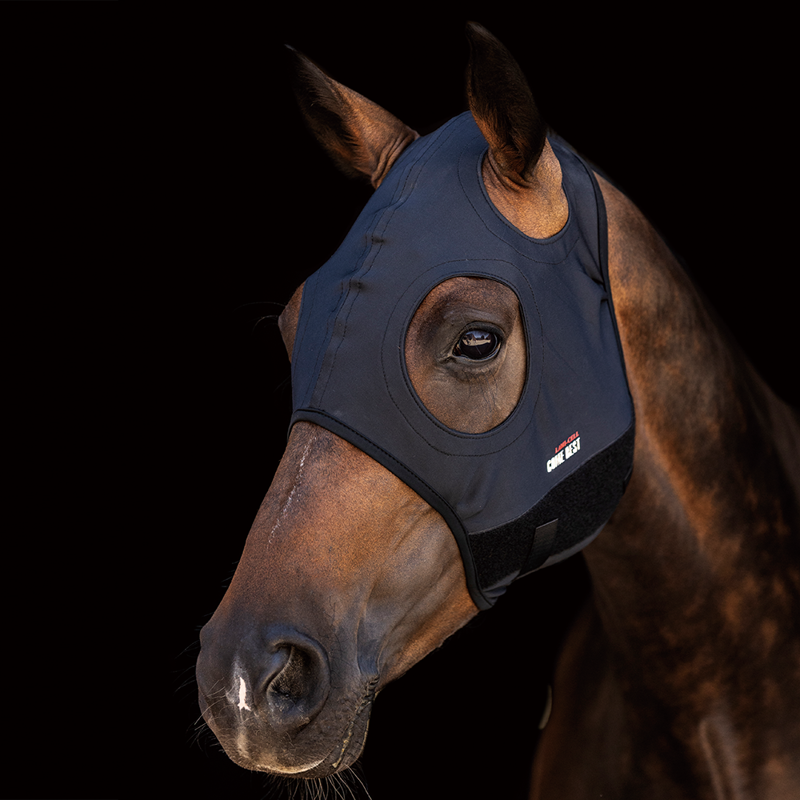 Lami-Cell Come Best Titanium Mask With No Ears - Black