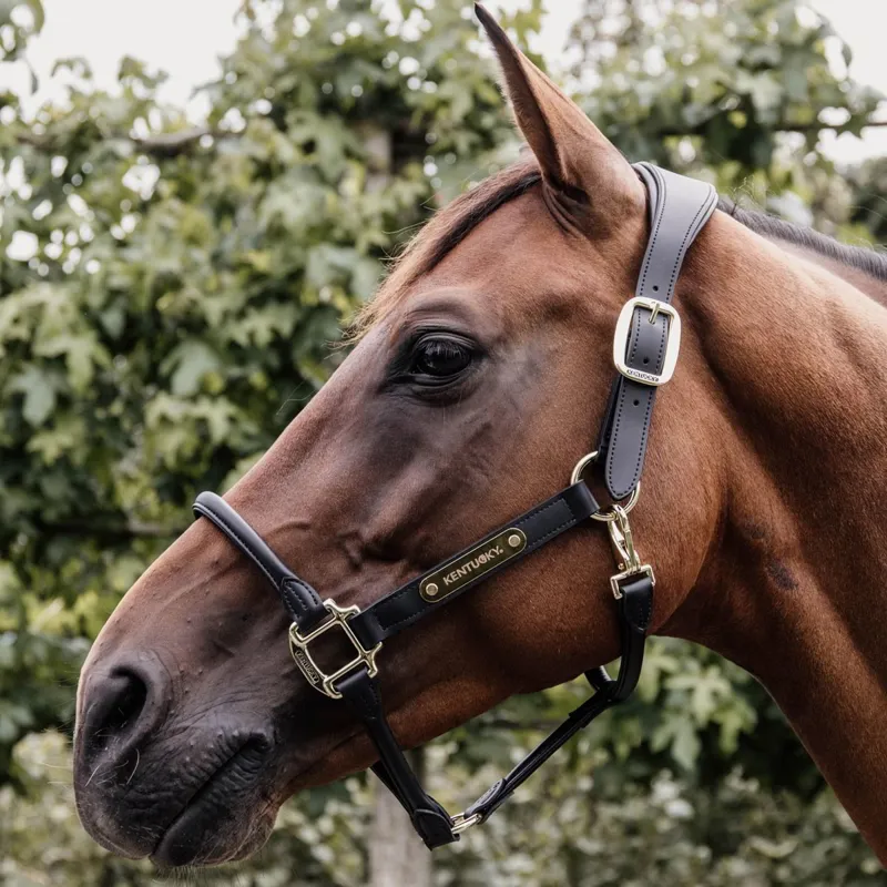 Kentucky Anatomic Artificial Leather Halter - Black-3