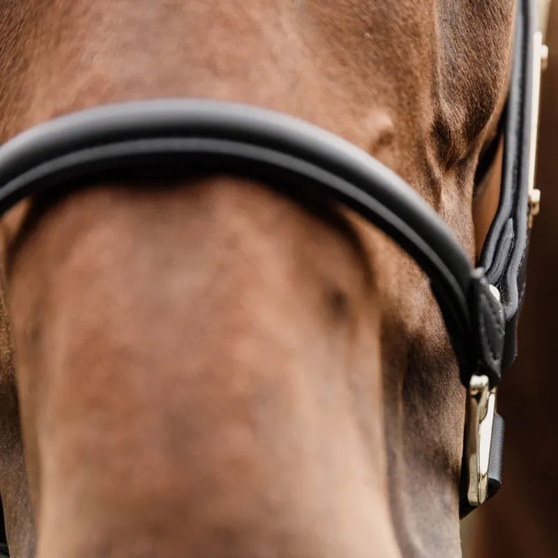 Kentucky Anatomic Artificial Leather Halter - Black-4