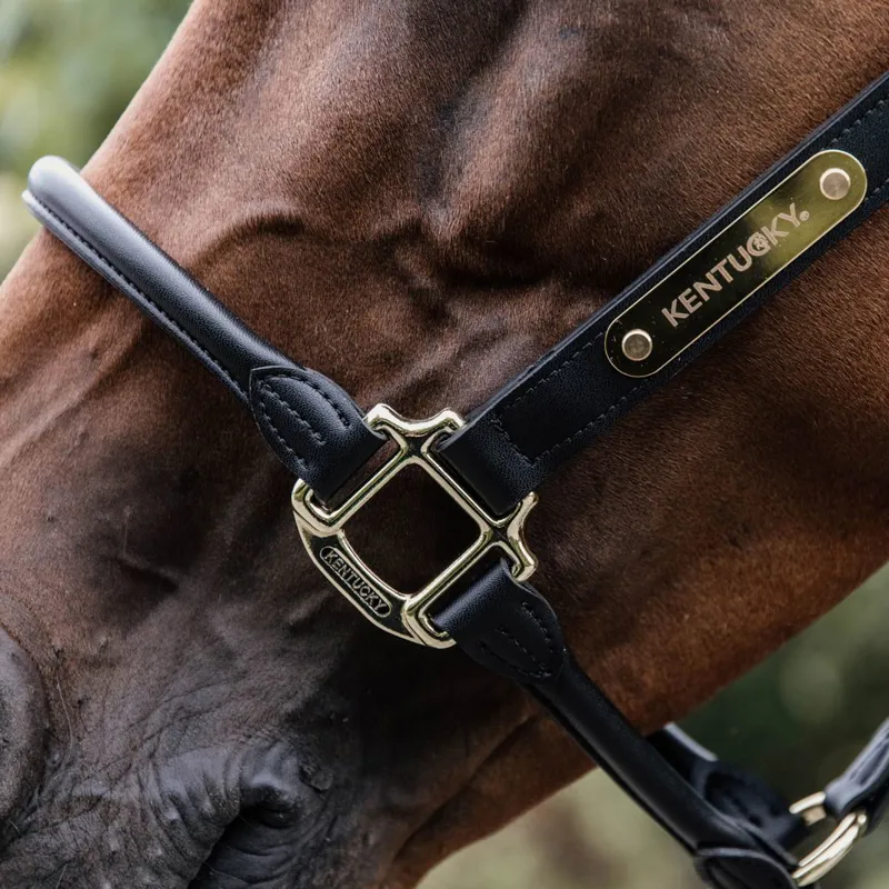 Kentucky Anatomic Artificial Leather Halter - Black-2