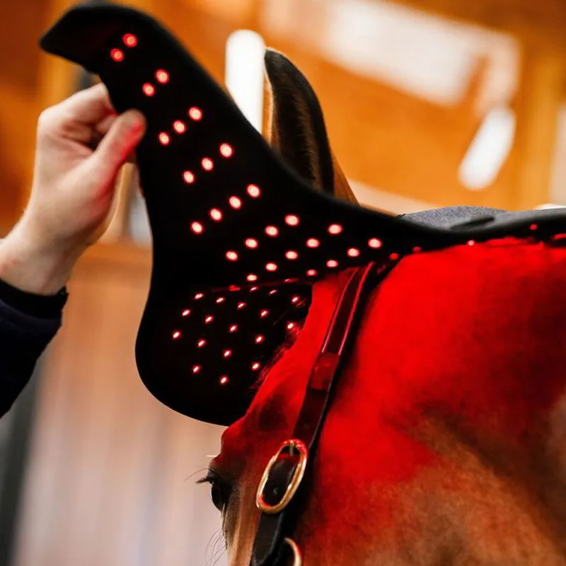 Horseware LED Red Light Therapy Poll Cap-4