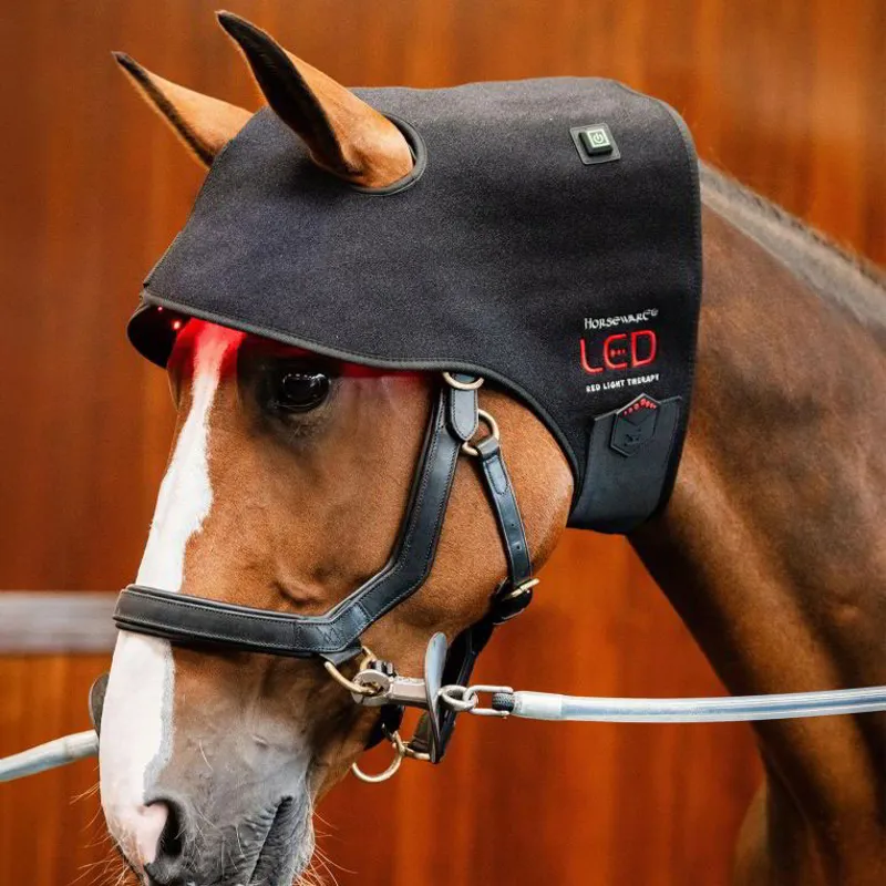 Horseware LED Red Light Therapy Poll Cap-5