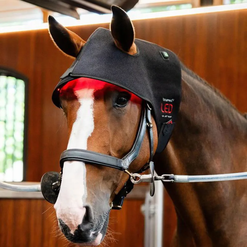 Horseware LED Red Light Therapy Poll Cap