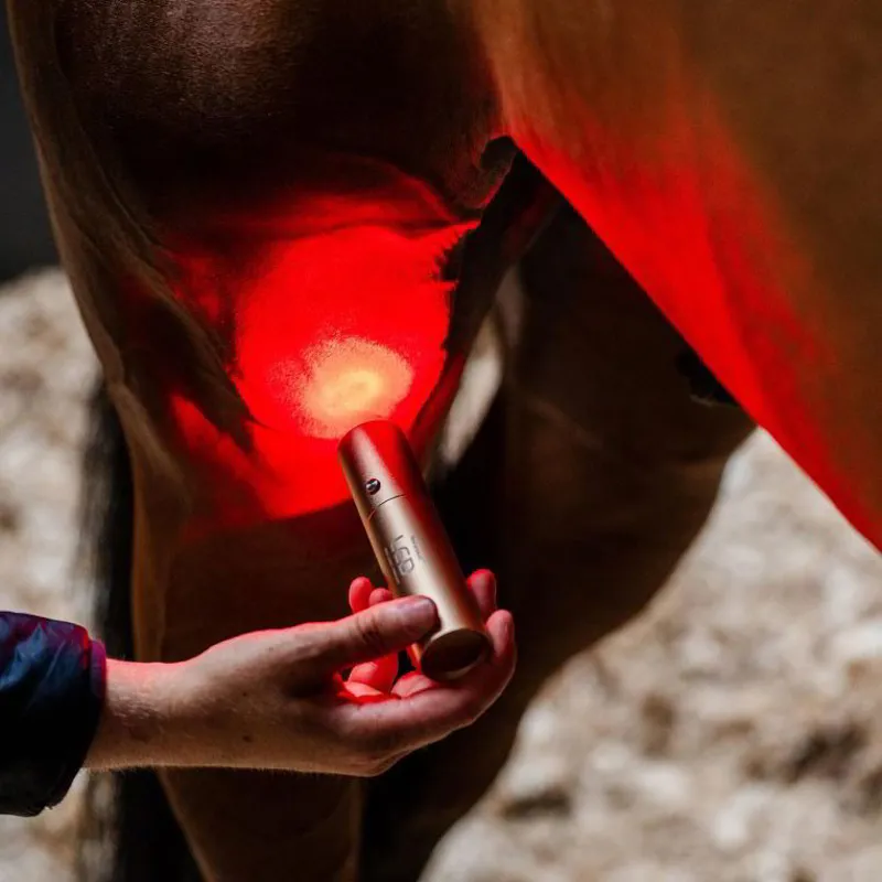 Horseware LED Red Light Therapy Wand-6