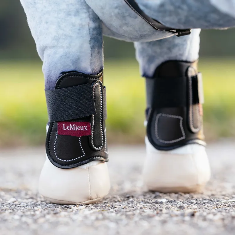 LeMieux Mini Toy Pony Capella Tendon Fetlock Boots Black-1