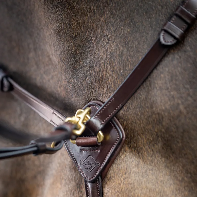 LeMieux Breastplate with Detachable Martingale - Havana/Brass-1