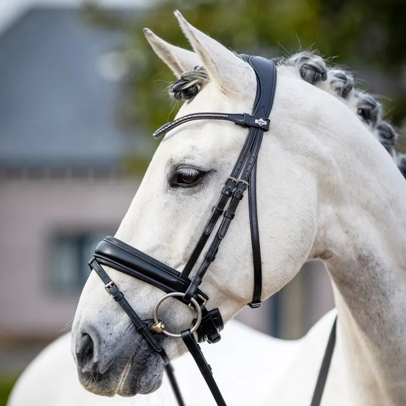 LeMieux Kudos Classic Dressage Flash Bridle-Black-1