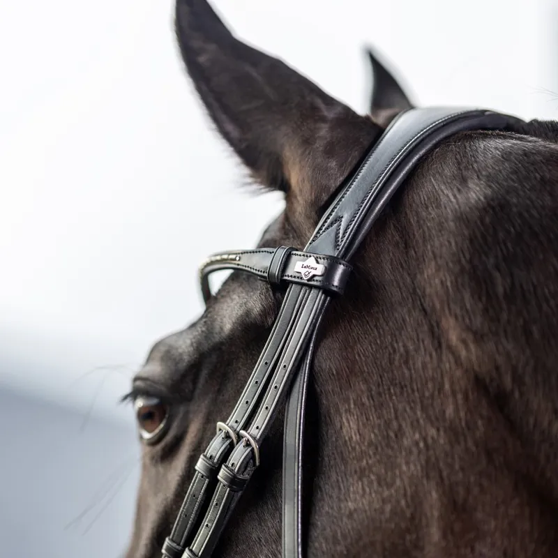 LeMieux Kudos Classic Dressage Flash Bridle-Black-2